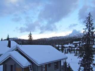 Дома для отпуска Holiday Home Vuosselinkulma 4 Рука Дом для отпуска-43